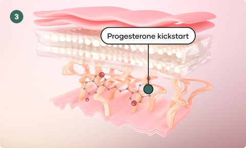 Kickstarts Progesterone production